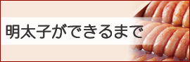 �����Ҥ��Ǥ���ޤ�