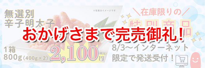 在庫限りの特別商品 おかげさまで完売御礼!受付一時停止中