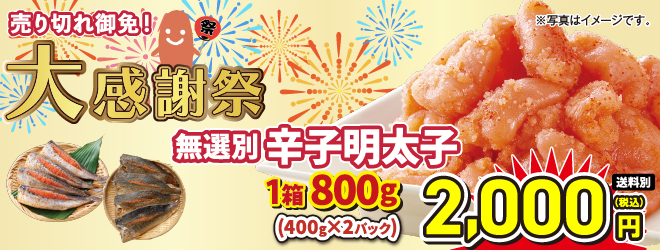 今年も開催!大感謝祭!店頭販売は6/5〜6/7、配送受付は6/8〜12まで!